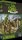 Isle of Skye - Druiden