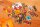 Bomb Busters  *Spiel des Jahres 2025*