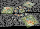 Flower Fields EN