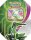 Pokemon Tin 113 Eisenblatt