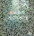 Algae Inc.