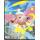 Pokémon Mega-Entwicklung: Perfect Order 9-Pocket Sammelalbum für 252 Karten