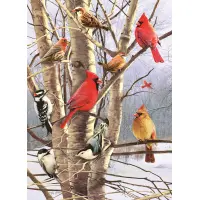 Wintervögel 1000 Teile