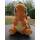 Pokémon Plüschfigur Glumanda – ca. 20 cm