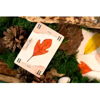 13 Leaves - Deutsche Ausgabe