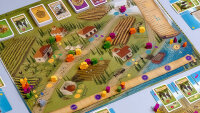 Viticulture Essential Edition